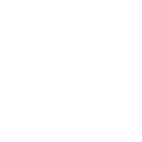 TheVAVIg